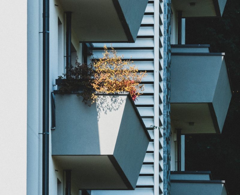 CAPELLINI - Condo. Belvedere F (37 of 49)